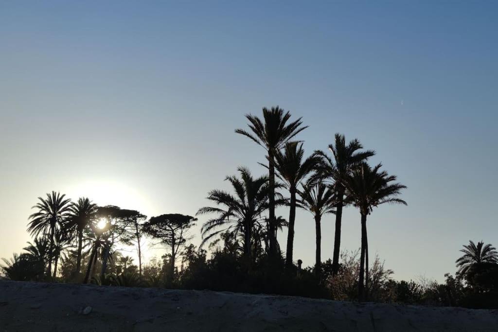 Latido Del Puerto Daire Sagunto Dış mekan fotoğraf